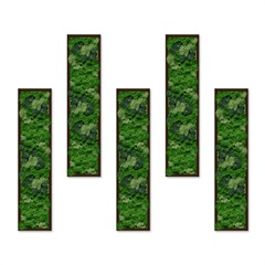Moss Art